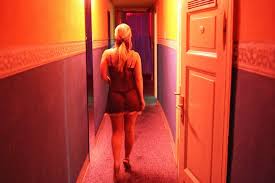 Avcılar Escort Çitlenbik